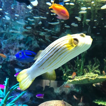サンシャイン水族館に投稿された画像（2022/11/3）