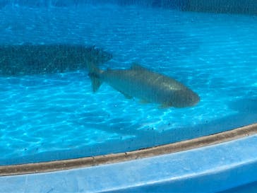 サンシャイン水族館に投稿された画像（2022/11/3）