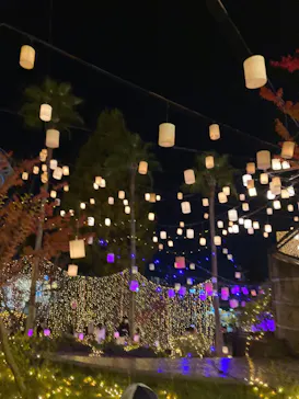 ひらかたパークに投稿された画像（2022/11/4）