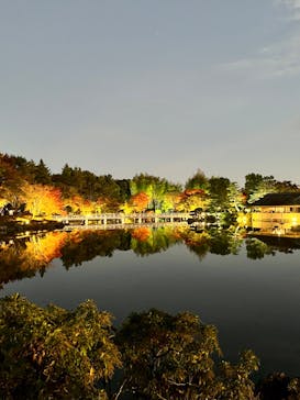 国営昭和記念公園 秋の夜散歩に投稿された画像（2022/11/4）