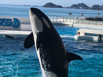 鴨川シーワールドに投稿された画像（2022/11/4）