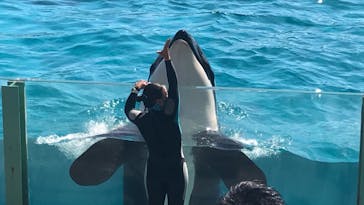 鴨川シーワールドに投稿された画像（2022/11/4）