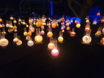 江の島シーキャンドルに投稿された画像（2022/11/4）