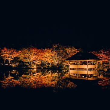 国営昭和記念公園 秋の夜散歩に投稿された画像（2022/11/4）