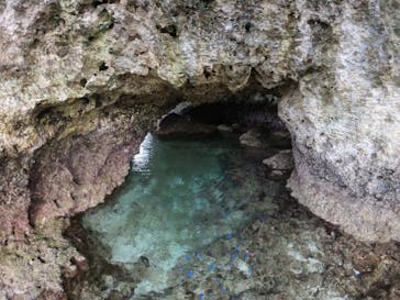 DIVING-SHOP SUNSに投稿された画像（2022/11/4）