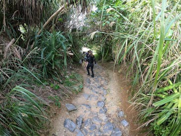 DIVING-SHOP SUNSに投稿された画像（2022/11/4）