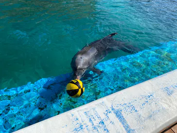 横浜・八景島シーパラダイスに投稿された画像（2022/11/4）