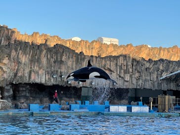 名古屋港水族館に投稿された画像（2022/11/4）