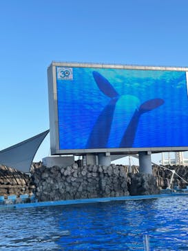 名古屋港水族館に投稿された画像（2022/11/4）