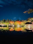 国営昭和記念公園 秋の夜散歩に投稿された画像（2022/11/4）