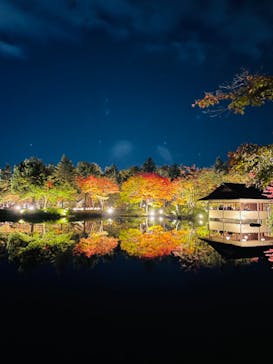 国営昭和記念公園 秋の夜散歩に投稿された画像（2022/11/4）