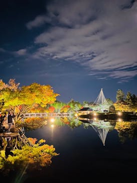 国営昭和記念公園 秋の夜散歩に投稿された画像（2022/11/4）