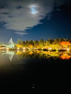 国営昭和記念公園 秋の夜散歩に投稿された画像（2022/11/4）