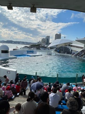 鴨川シーワールドに投稿された画像（2022/11/4）