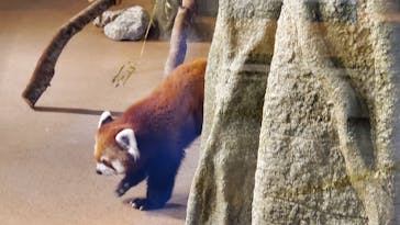 ネオパークオキナワに投稿された画像（2022/11/4）