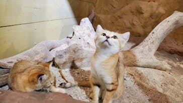 ネオパークオキナワに投稿された画像（2022/11/4）