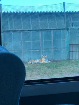 岩手サファリパークに投稿された画像（2022/11/4）