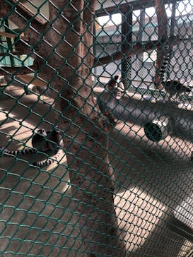 岩手サファリパークに投稿された画像（2022/11/4）