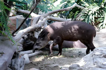 神戸どうぶつ王国に投稿された画像（2022/11/4）