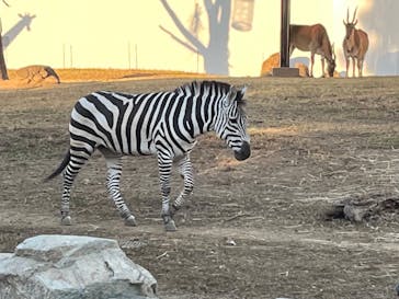 よこはま動物園ズーラシアに投稿された画像（2022/11/4）