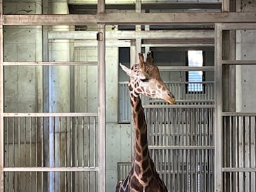 よこはま動物園ズーラシアに投稿された画像（2022/11/4）