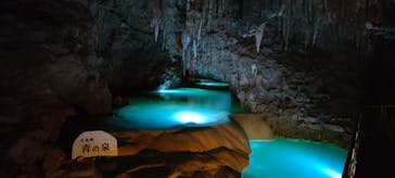 おきなわワールドに投稿された画像（2022/11/4）