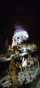 おきなわワールドに投稿された画像（2022/11/4）