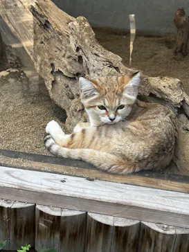 神戸どうぶつ王国に投稿された画像（2022/11/4）