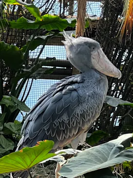 神戸どうぶつ王国に投稿された画像（2022/11/4）