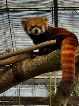 神戸どうぶつ王国に投稿された画像（2022/11/4）