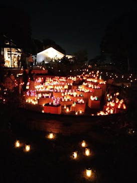 江の島シーキャンドルに投稿された画像（2022/11/4）