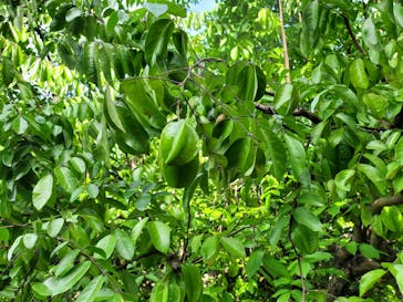 おきなわワールドに投稿された画像（2022/11/4）