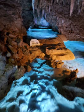 おきなわワールドに投稿された画像（2022/11/4）