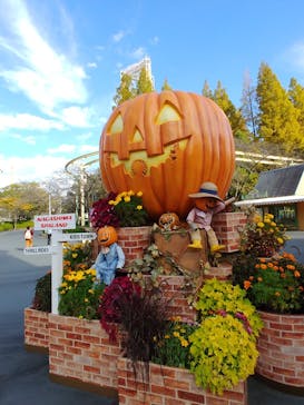 ナガシマスパーランドに投稿された画像（2022/11/4）