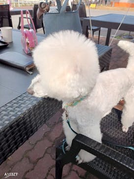 ワールド牧場に投稿された画像（2022/11/4）