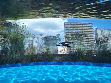 サンシャイン水族館に投稿された画像（2022/11/4）