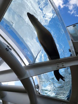 サンシャイン水族館に投稿された画像（2022/11/4）