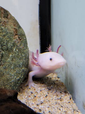 サンシャイン水族館に投稿された画像（2022/11/4）