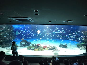 サンシャイン水族館に投稿された画像（2022/11/4）