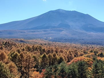 軽井沢おもちゃ王国に投稿された画像（2022/11/4）