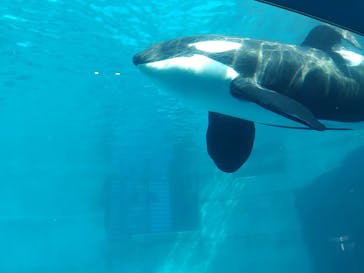 名古屋港水族館に投稿された画像（2022/11/4）