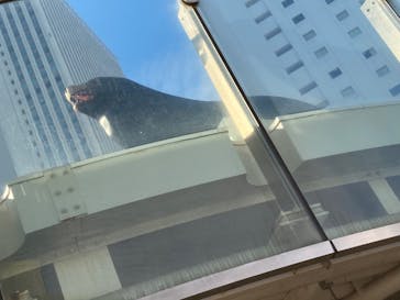 サンシャイン水族館に投稿された画像（2022/11/4）