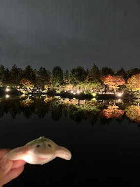 国営昭和記念公園 秋の夜散歩に投稿された画像（2022/11/4）