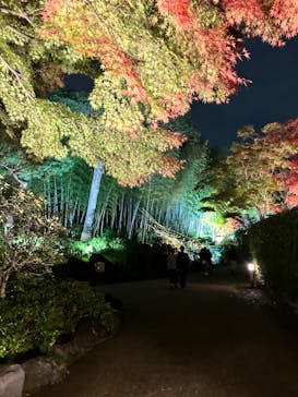 国営昭和記念公園 秋の夜散歩に投稿された画像（2022/11/4）