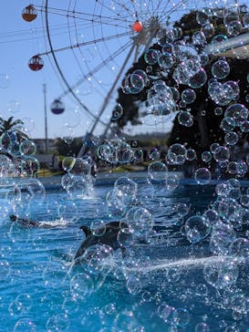 南知多ビーチランド＆南知多おもちゃ王国に投稿された画像（2022/11/4）