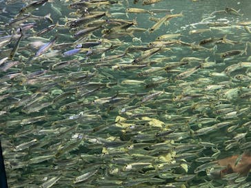 サンシャイン水族館に投稿された画像（2022/11/4）