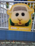 よみうりランド 遊園地に投稿された画像（2022/11/4）