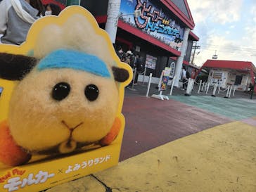 よみうりランド 遊園地に投稿された画像（2022/11/4）