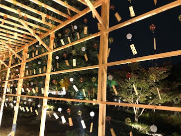 国営昭和記念公園 秋の夜散歩に投稿された画像（2022/11/4）