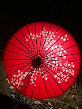 国営昭和記念公園 秋の夜散歩に投稿された画像（2022/11/4）